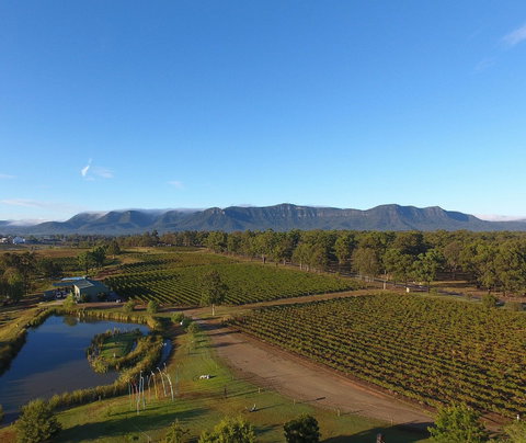 Mistletoe Winery - Holiday Sunshine Coast 0