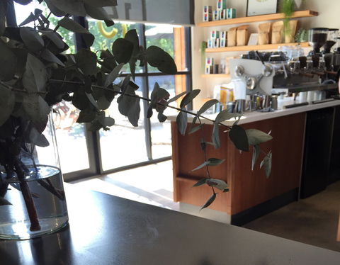 Sixpence Coffee Roasters - Sunshine Coast Tourism 2