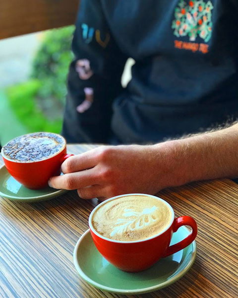 The Mango Tree - Sunshine Coast Tourism 0