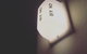 Bossman Coffee - thumb 7