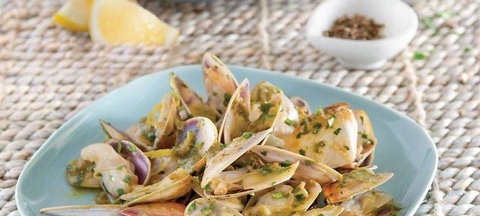 Edinburgh Hotel And Cellars - Holiday Sunshine Coast 1