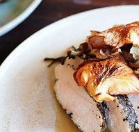 Electric Sitar - Sunshine Coast Tourism