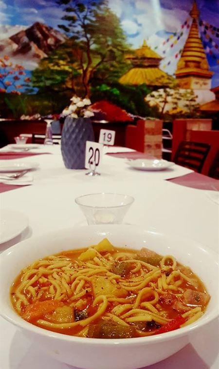 Fat Monkey - Holiday Sunshine Coast 4