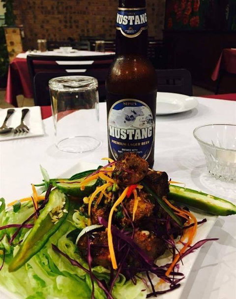 Fat Monkey - Holiday Sunshine Coast 5