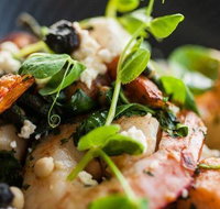 Lure - Sunshine Coast Tourism