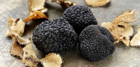 42 Cafe & Bar - Holiday Sunshine Coast 0