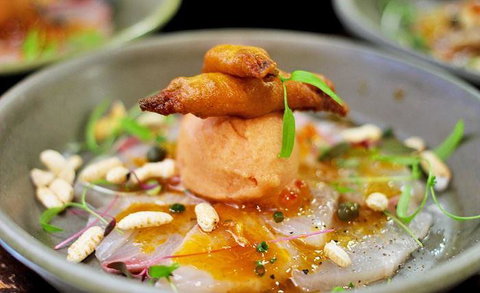 42 Cafe & Bar - Holiday Sunshine Coast 13