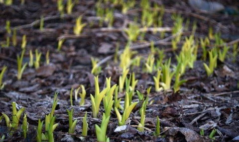 42 Cafe & Bar - Holiday Sunshine Coast 2