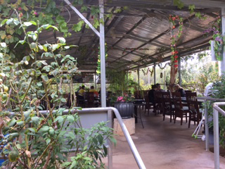 Alice Vietnamese Restaurant - Sunshine Coast Tourism 4