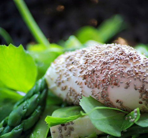 GPO Hotel - Sunshine Coast Tourism 5