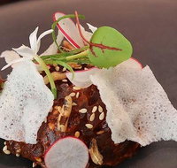 Hepburn Pavilion Cafe - Sunshine Coast Tourism