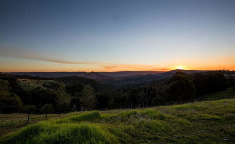 Jim Wong Restaurant - Sunshine Coast Tourism 5