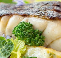 Kammadhenu Neutral Bay - Sunshine Coast Tourism