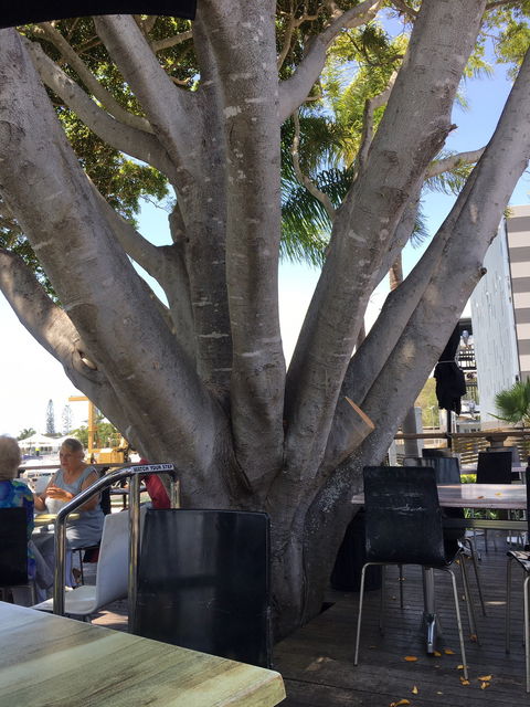 Cafe La Mer - Holiday Sunshine Coast 3