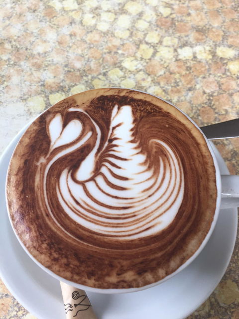 Cafe Del' Art - Sunshine Coast Tourism 3