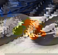 Wise Vineyard Restaurant - Sunshine Coast Tourism