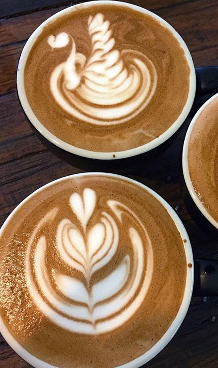 Benchtop Espresso - Sunshine Coast Tourism 4