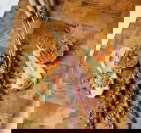 Beta Bar - Holiday Sunshine Coast