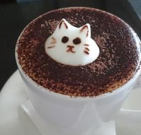 Cafe 2340 - Holiday Sunshine Coast