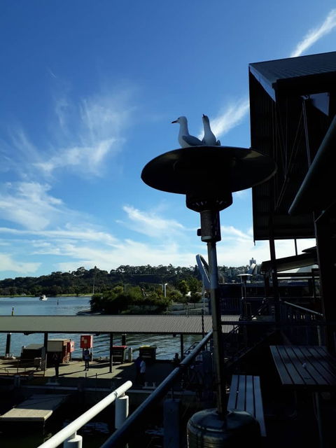 Annalakshmi On The Swan - Sunshine Coast Tourism 6