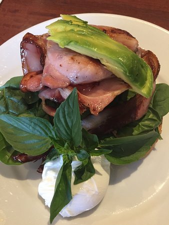 Cafe Latte Orange - Sunshine Coast Tourism 0