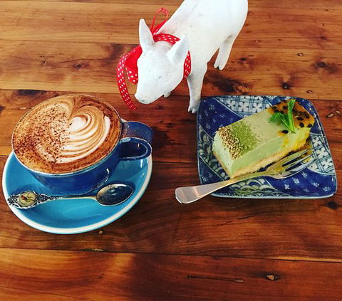 CAFE YUCCA - Holiday Sunshine Coast 0