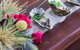 Kingsland Vegan Restaurant - thumb 7