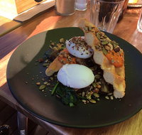 Mason  Bird - Holiday Sunshine Coast