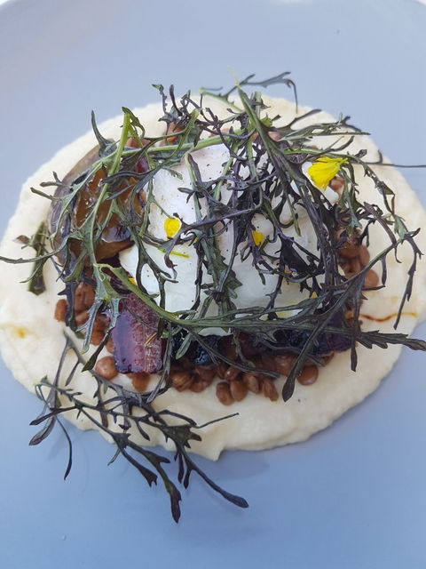 Pantry 360 - Sunshine Coast Tourism 4