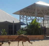 Papou's Kitchen Cafe - Sunshine Coast Tourism