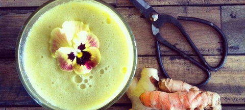 Seed & Husk - Sunshine Coast Tourism 2