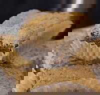 The Cog - Sunshine Coast Tourism