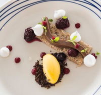 Wild Herring - Sunshine Coast Tourism