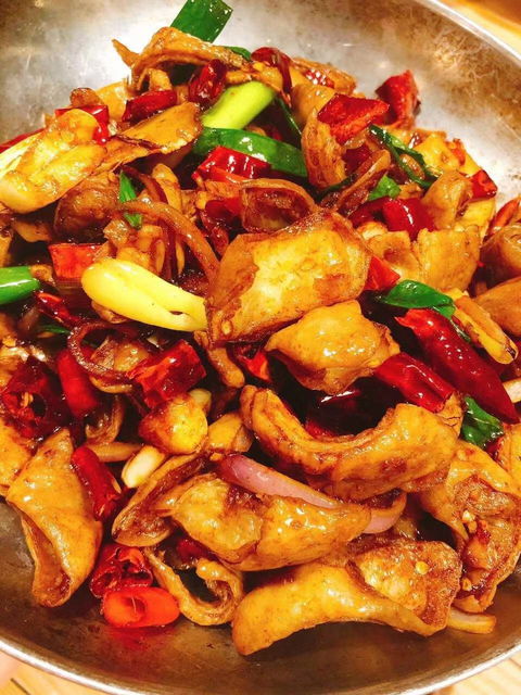 Chilli Panda - Holiday Sunshine Coast 1