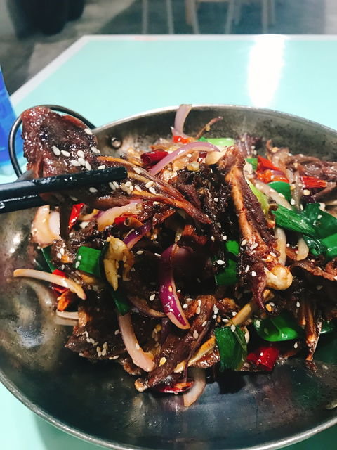Chilli Panda - Holiday Sunshine Coast 6