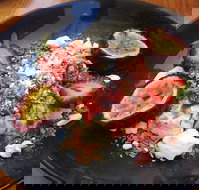 Two Feet First - Sunshine Coast Tourism