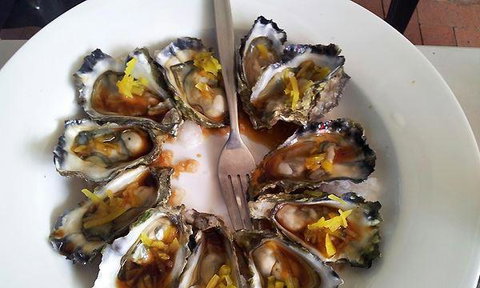 Ellis Beach Bar & Grill - Sunshine Coast Tourism 2
