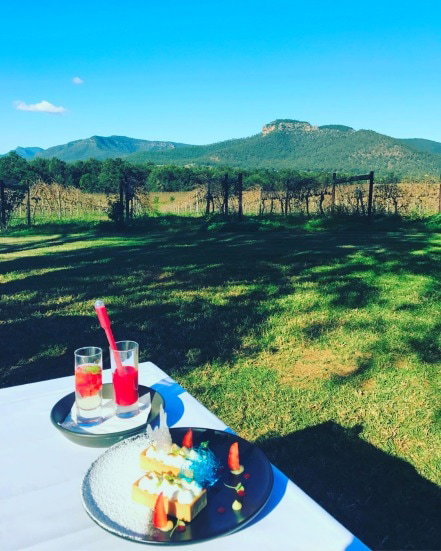 Mount Broke Wines Restaurant - Holiday Sunshine Coast 1