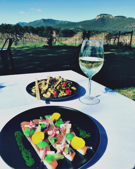 Mount Broke Wines Restaurant - Holiday Sunshine Coast 2