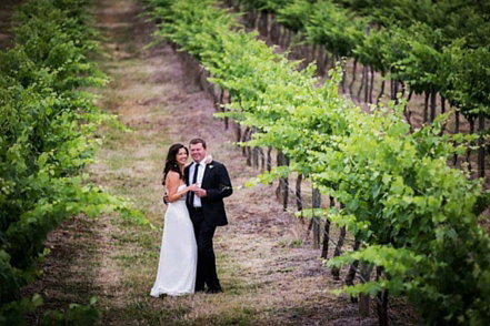 Mount Broke Wines Restaurant - Holiday Sunshine Coast 3