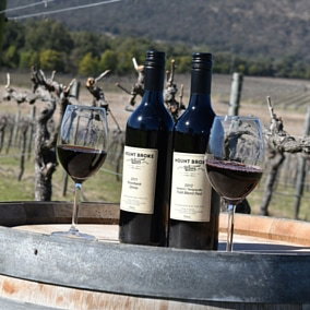 Mount Broke Wines Restaurant - Holiday Sunshine Coast 5