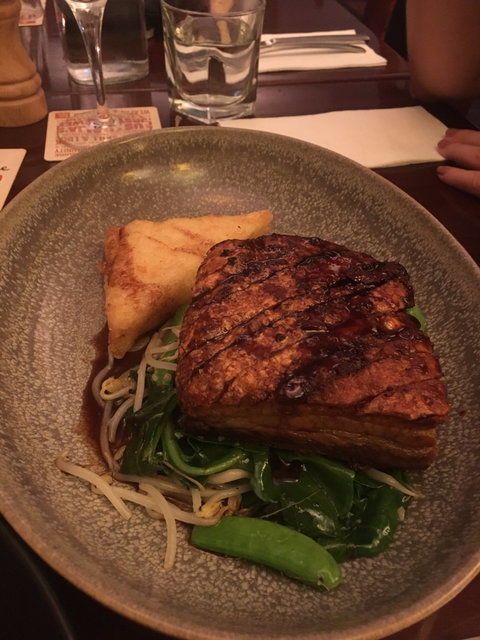 The Generous Squire - Sunshine Coast Tourism 1