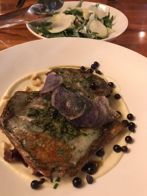 Foglia Di Fico - Holiday Sunshine Coast 2