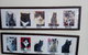 Hobart Cat Cafe - thumb 2