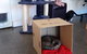 Hobart Cat Cafe - thumb 3
