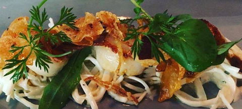 Paddock & Vine - Sunshine Coast Tourism 1