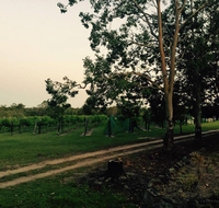 Brierley Wines - Sunshine Coast Tourism