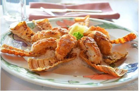 Tramontana At Evolution - Sunshine Coast Tourism 2