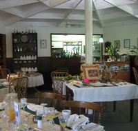 Daintree Tea House Restaurant - Sunshine Coast Tourism