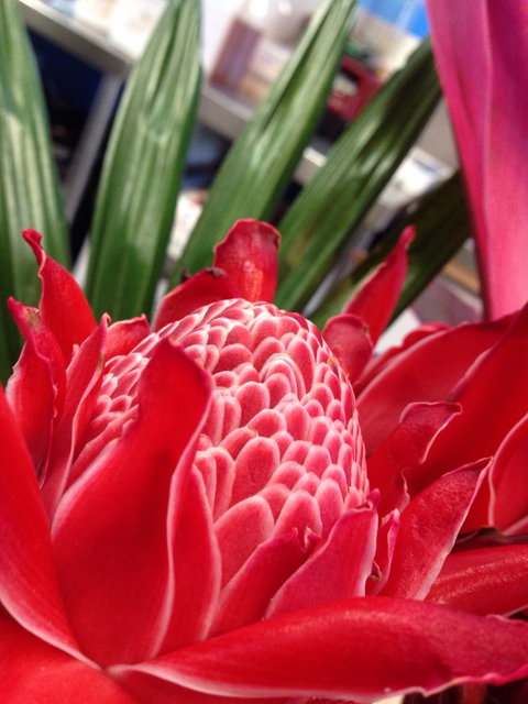 Ebb And Flow Cafe - Holiday Sunshine Coast 6
